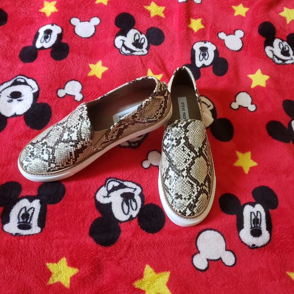 Steve madden shoes
